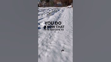 Comment SPRING and I’ll DM the link to learn about cool-season hardy annuals, aka Cool Flowers