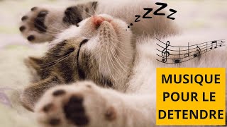 Musique RELAXANTE pour CHATS STRESSÉS  Détendez votre CHAT !