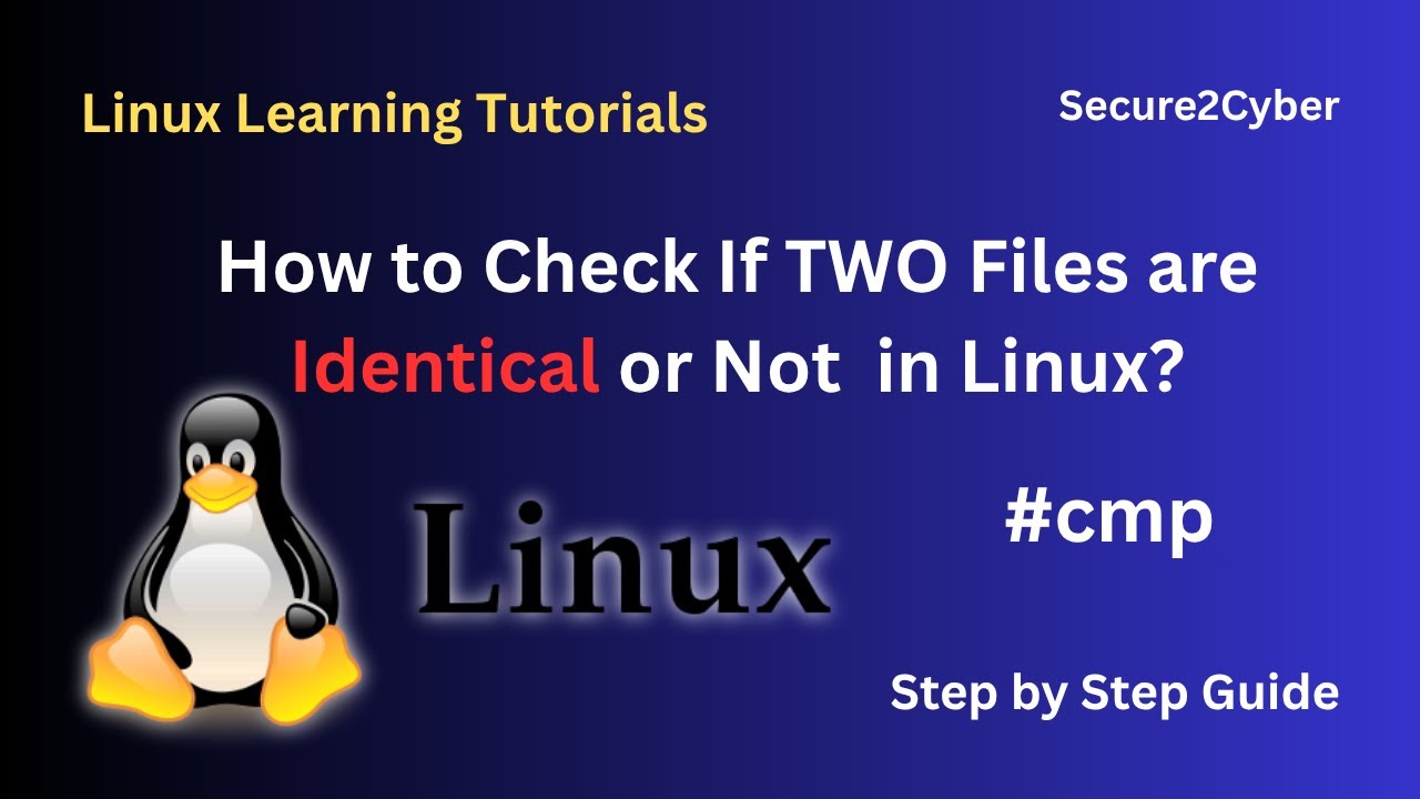 How to Check If TWO Files are Identical or Not in Linux (Using cmp ...