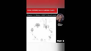 Biology || class 12 || chapter 1 || Notes || sexual reproduction in flowering plant || NEET + Board
