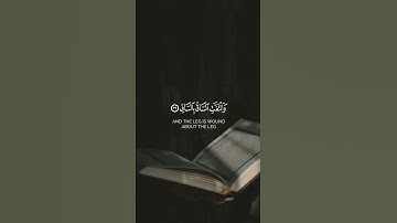 كلا إذا بلغت التراقي ||- سورة القيامة