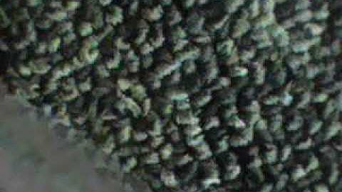 القارئ  عبدالله  بن  محمد  بن خليفة  آل  خليفة المصري  قارئ  لكتاب  الله  وإمام مسجد بمصر