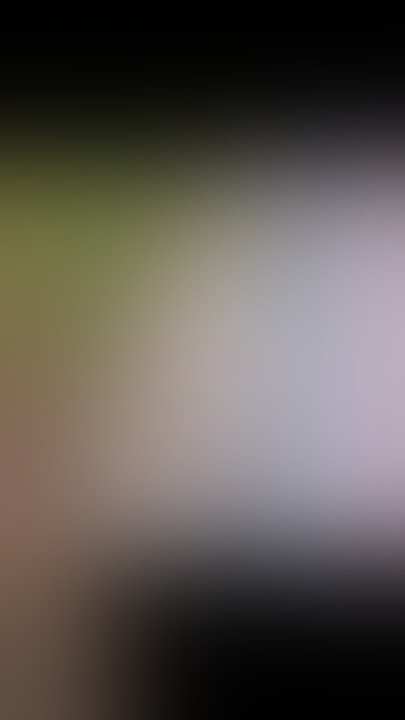 Lihatlah kucing ini memakan ganja dan lihat endingnya bikin ngakak #shorts #youtubeshorts #viral