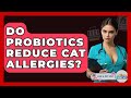 Do Probiotics Reduce Cat Allergies? - Ask A Pet Vet