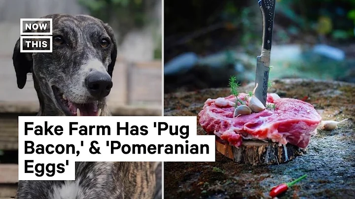 Fake Dog Meat Farm Exposes Reality of Humane Meat Marketing - DayDayNews