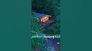 سورة محمد و؛،كا؛.نك تسمعها لأو.ل مر.ة🏵️💐🌼،.💮💝،؛❤️💕بصوت الشيخ حمزة مدبو؛ح 💛🌻💐؛،💕🌷💝..🌺