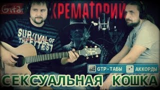 Video thumbnail of "Сексуальная кошка - Крематорий / Гитарин"