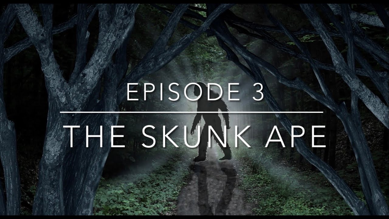 Into the Unexplained Episode 3: The Skunk Ape
