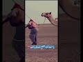 سهيل طلع 2022 Shorts سهيل طلع 2022 Shorts