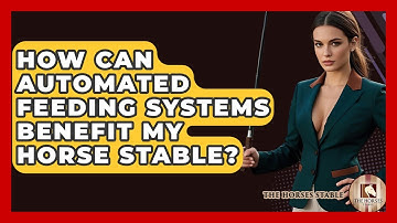 How Can Automated Feeding Systems Benefit My Horse Stable? - The Horses Stable