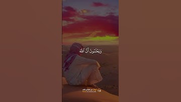 إِنَّ ٱلَّذِينَ يَرْمُونَ ٱلْمُحْصَنَـٰتِ // الشيخ سعيد دباح - آيات من كتاب الله