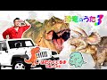 恐竜のうた3♪ 「はたらくくるま」で歌ってみた!ティラノサウルス・トリケラトプス・スピノサウルス・ギガノトサウルス・ケラトサウルス・カルカロドントサウルス...いっぱい登場