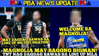 Magnolia Hotshots May Bagong Bigman Na Parating  Tnt May Dagdag Bawas Sa Line Up Nila  Pba Updates