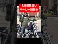 北海道雪どけバイク初乗り#ハーレー女子#バイク女子#女性ライダー#大型バイク#ハーレーダビッドソン