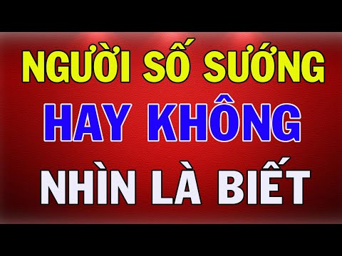 Video: Những Dấu Hiệu Nào Nói Rằng Một Người Phụ Thuộc Vào ý Kiến của Người Khác