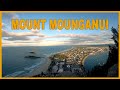 🧗🏽‍♂️Going up Mount Maunganui, Tauranga New Zealand | TIMELAPSE 4k