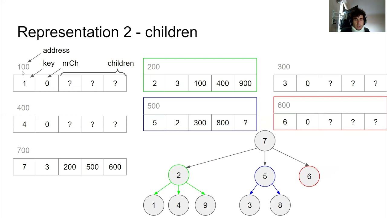 Lab 06 - Multi-Way Trees - YouTube