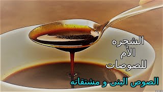 عصام سيد | الصوص البنى و مشتقاته