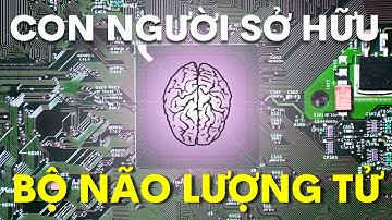 Nếu kiểm soát được 100% bộ não thì chúng ta có còn là con người? | MỘT VIDEO