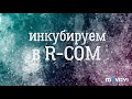 Инкубатор r-com