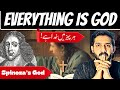 Everything Is God | Philosophy Of God | Spinoza