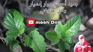 أحواش دوار إدسيار وادي أمزوغني2019