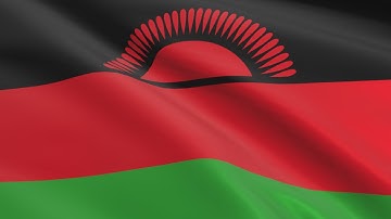 Flag of Malawi waving in the wind - Flag animation - Motion background - 4K UHD