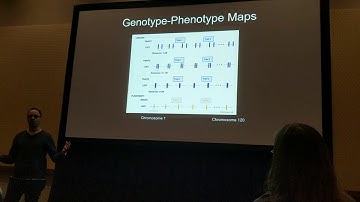 Chebib: Pleiotropy or linkage Their relative contributions to correlations of quantitavie traits