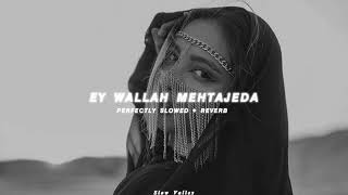 Ey Wallah Mehtajeda - Perfectly Slowed Reverb