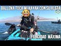 ¡¡¡¡¡Una ballena toca mi kayak !!! FELIZ   Antofagasta/chile