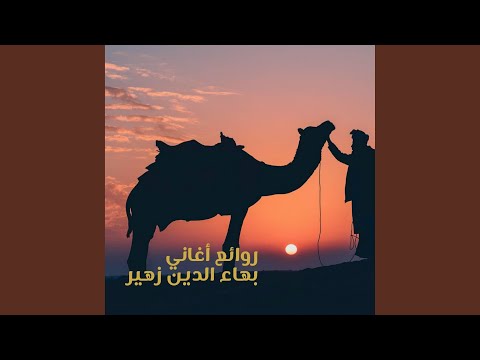 وزائرة زارت وقد هجم الدجى بهاء الدين زهير