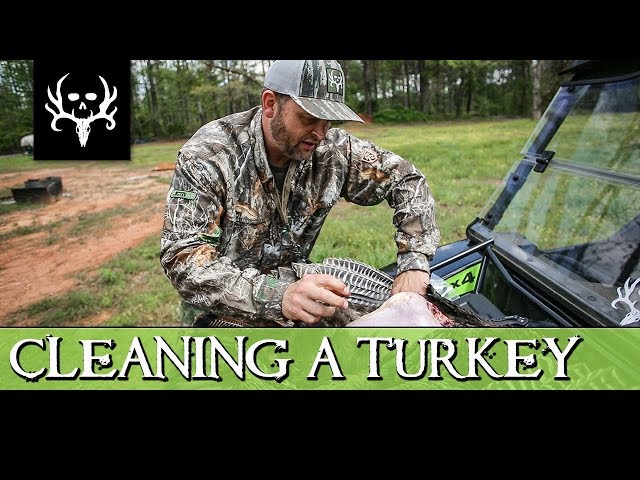 Watch How to Clean a Turkey the EASY WAY! on YouTube.