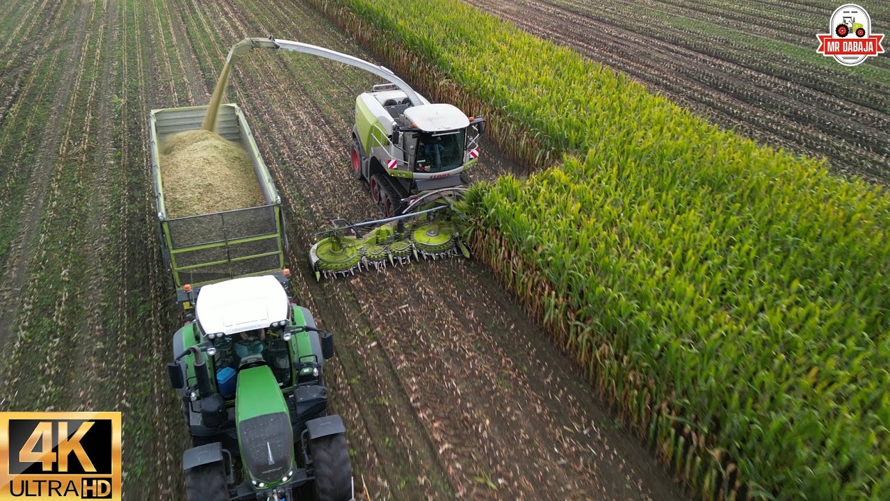 full version Cornharvest 2023 +dronefootage Jennissen Claas jaguar 990 terra trac 900 orbis+3 fendt