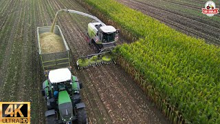 full version Cornharvest 2023 +dronefootage Jennissen Claas jaguar 990 terra trac 900 orbis+3 fendt