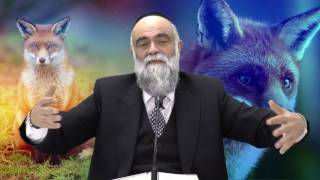 לטעום את החיים : תמיד רעב - הרב משה פינטו HD