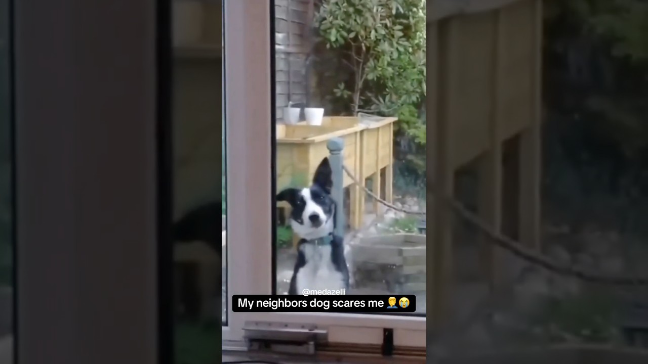 He’s The Reason I Have Locks On My Door 😰