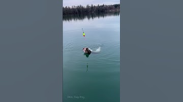 Cá Lớn - Cá Siêu Khủng kéo cong vút cần câu 🎣 😱 #khacthuyvlogg