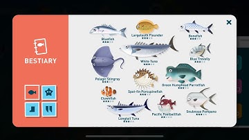 Creatures of the Deep Paradise Island All day fish