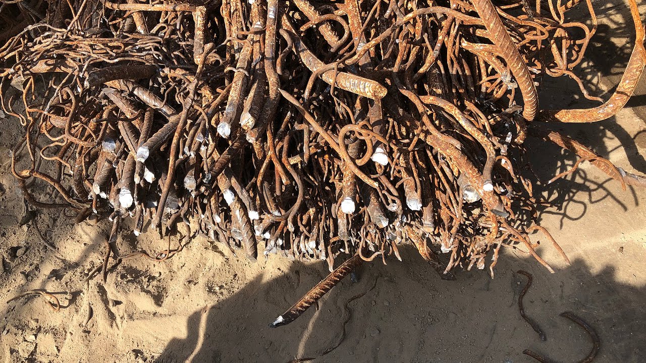 Metal Crocodile Shear