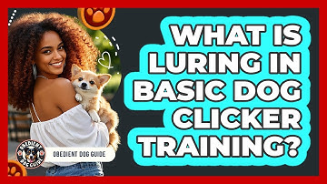 What Is Luring In Basic Dog Clicker Training? - Obedient Dog Guide