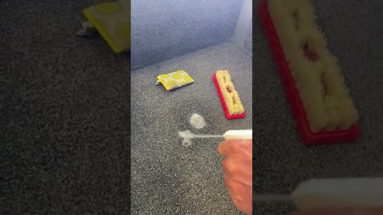 Carpet Cleaner for Outdoor and Indoor - Great for Boats 💥💥💥