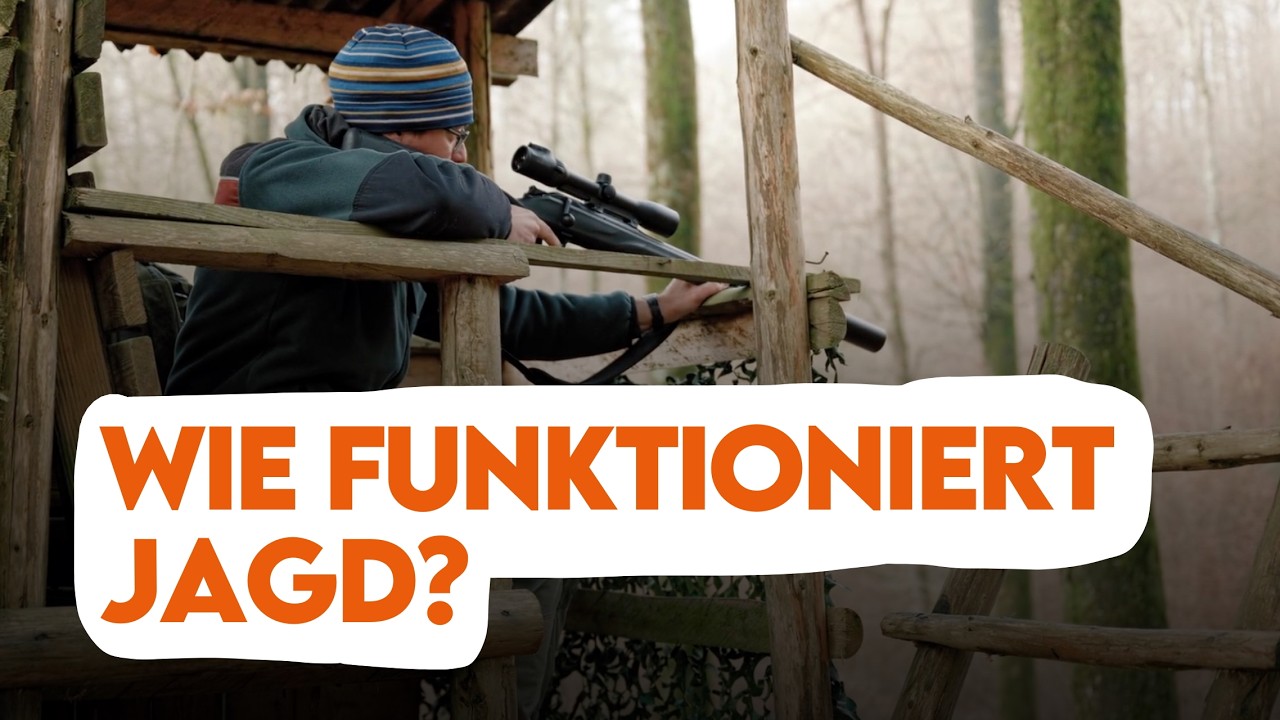 Welche Tiere dürfen gejagt werden? Alles was Du zum Jagdschein in Deutschland wissen musst