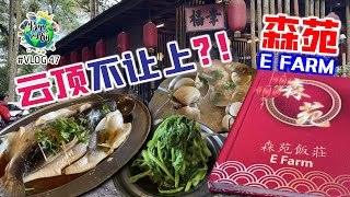 云顶不让上?! 隐藏在深山内的网红打卡饭店|E Farm Restaurant 森苑饭庄|招牌竹筒虾|虾酱水翁菜|Vlog 47