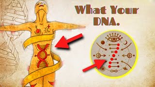 What Your DNA Actually Does Is Mind Blowing.