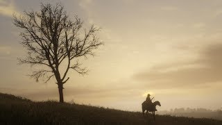 Video thumbnail of "Red Dead Redemption II Soundtrack - Train Ride/Train Fast Travel Music"