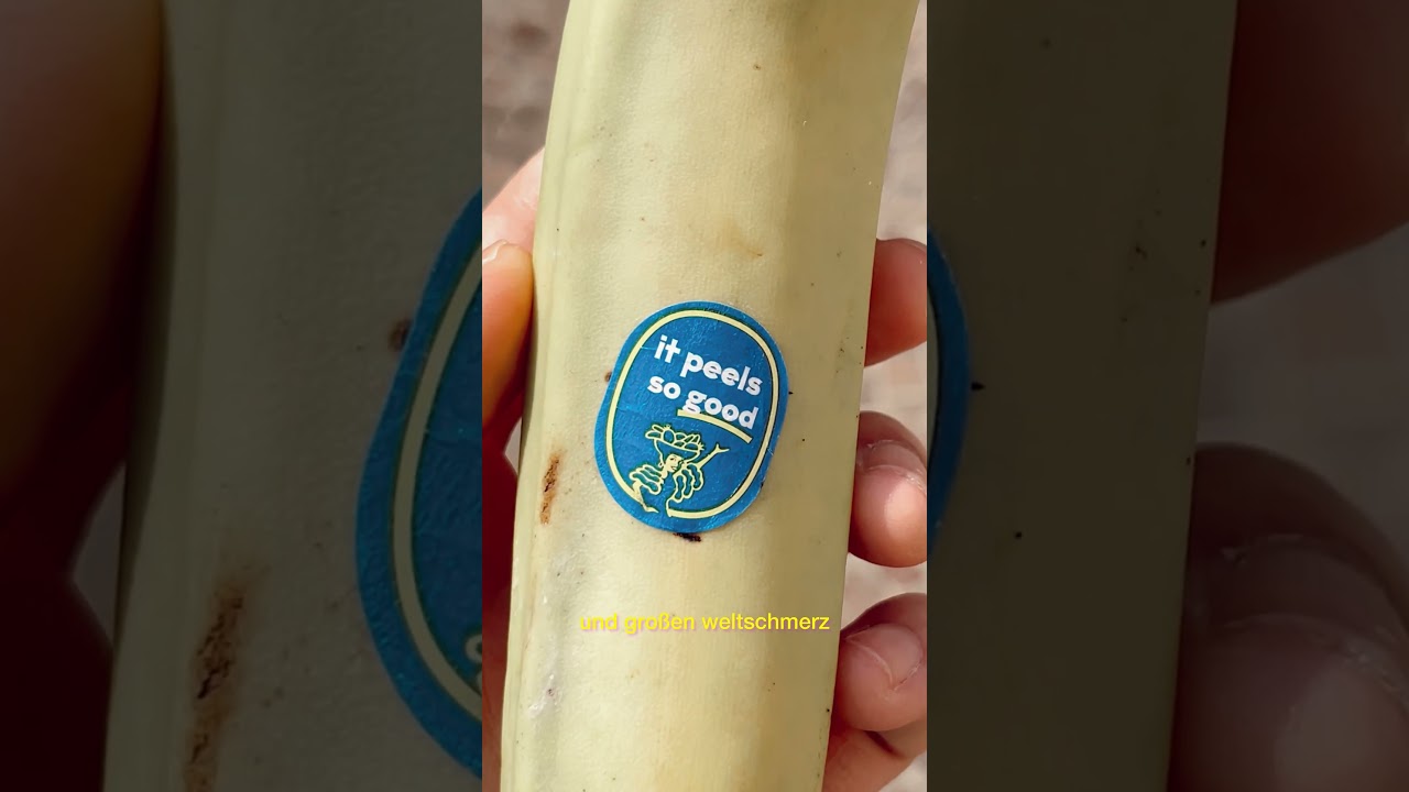 der wind hat sich gedreht - ab jetzt easy life ☀️#musik #indie #pop #easylife