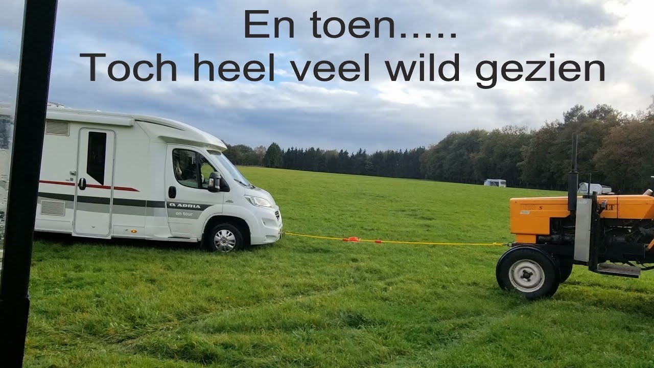 Natuurcamping Groenendaal #95