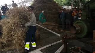 Meira Fiesta de Malla 2019