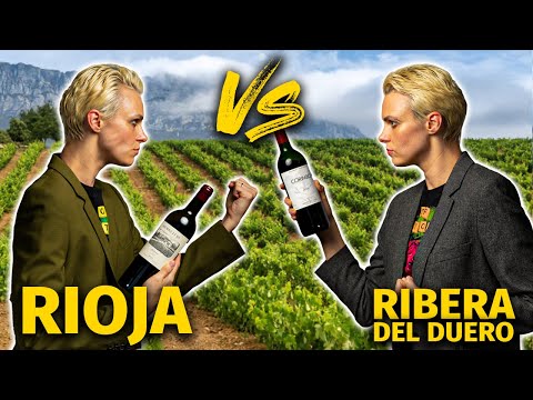 Rioja Vs Ribera Del Duero: Comparing x Tasting Two Amazing Spanish Wine Regions