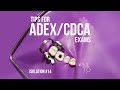 Adex cdca exam tips mastering rubber dam placement for tooth 14 isolation  endo